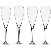 Spiegelau Willsberger Champagneglas 4-pack