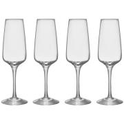 Orrefors Pulse champagneglas 28 cl, 4-pack