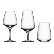 Orrefors Pulse Set med 12 glas