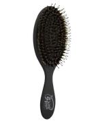 The Shine Brush Black Out