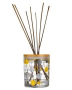 Mini Moderns Pavilion Reed Diffuser Gin Fizz 200 ml