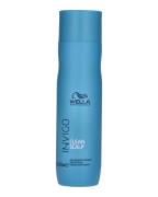 Wella Invigo Balance Clean Scalp Anti-Dandruff 250 ml