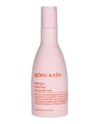 Björn Axén Color Stay Shampoo 250 ml
