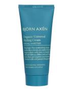 Björn Axén Organic Universal Styling Cream 100 ml