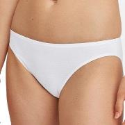 Calida Trosor Essential Cotton Low Cut Brief Vit bomull Small Dam