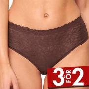 Sloggi Trosor 2P ZERO Feel Lace 2.0 High Waist Brief Brun Small Dam