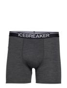 Men Anatomica Boxers Boxerkalsonger Grey Icebreaker