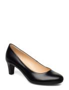 Gabor Pumps Svart