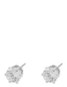 Lady Small Ear Clear Accessories Jewellery Earrings Studs Silver SNÖ O...