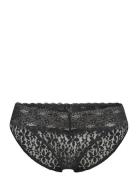 Halo Lace Bikini Brief Trosa Brief Tanga Black Wacoal