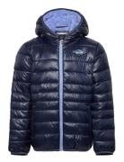 Levi's Levi's® Sherpa Lined Puffer Jacket Blå