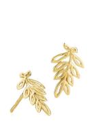 Tamara Accessories Jewellery Earrings Studs Gold Izabel Camille