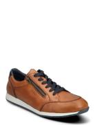11903-14 Låga Sneakers Brown Rieker