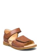 Sandals - Flat - Open Toe - Clo Shoes Summer Shoes Sandals Brown ANGUL...