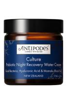 Culture Probiotic Night Recovery Water Cream Nattkräm Ansiktskräm Nude...