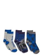 Socks Sockor Strumpor Multi/patterned Jurassic World