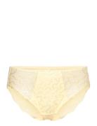 Fantasie Ana Brief Gul