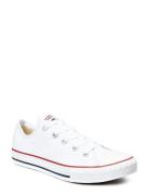 Converse Yth C/T All Star Ox Optwt Vit