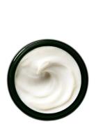 Dr. Weil Mega-Mushroom Skin Relief & Resilience Soothing Cream Dagkräm...