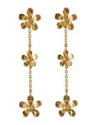 Wild Poppy Earrings Örhänge Smycken Gold Pernille Corydon