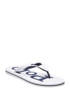 Polo Ralph Lauren Bolt Logo Flip-Flop Vit