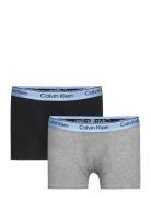 2Pk Trunk Night & Underwear Underwear Underpants Multi/patterned Calvi...