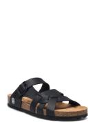 Avery Platta Sandaler Black Axelda