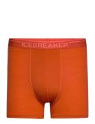 Men Anatomica Boxers Boxerkalsonger Orange Icebreaker