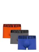 Trunk 3Pk Boxerkalsonger Blue Calvin Klein