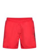 Dolphin Badshorts Red BOSS