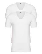 JBS Jbs 2-Pack T-Shirt V-Neck Gots Vit