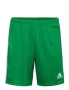 Adidas Performance Squadra 21 Short Grön