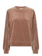 Cindy Sweatshirt Gots Tops Sweat-shirts & Hoodies Sweat-shirts Brown B...