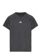 Jg Tee Lux Sport T-shirts Short-sleeved Grey Adidas Sportswear