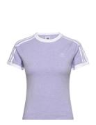 3 S Rgln Tee Sport T-shirts & Tops Short-sleeved Purple Adidas Origina...