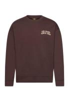 Graphic Sws Tops Sweat-shirts & Hoodies Sweat-shirts Brown Lee Jeans