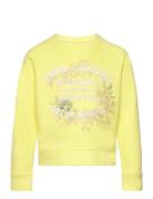 Sweatshirt Tops Sweat-shirts & Hoodies Sweat-shirts Yellow Zadig & Vol...