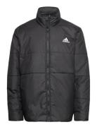 Bsc 3S Ins Jkt Sport Jackets Padded Jackets Black Adidas Sportswear