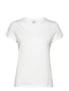 Soft Cotton Tee Designers T-shirts & Tops Short-sleeved White Filippa ...