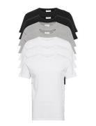 Lindbergh Basic O-Neck Tee S/S 7 Pack