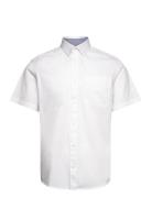 Bedford Shirt Tops Shirts Short-sleeved White Tom Tailor