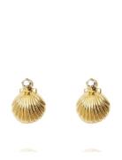 Petite Shell Earrings Accessories Jewellery Earrings Studs Gold Caroli...
