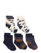 Socks W. Pattern Sockor Strumpor Multi/patterned Minymo
