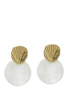 Seashell Mini Earring Halsband Hängsmycke Gold By Jolima