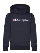 Champion Hooded Sweatshirt Marinblå