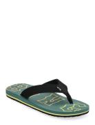 All Day Theme Flip Flops Sandaler Green Billabong