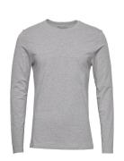 Long Sleeve Slim Tops T-shirts Long-sleeved Grey Bread & Boxers