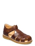 ANGULUS Sandals - Flat - Closed Toe Brun