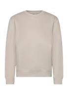 Björn Borg Centre Crew Beige