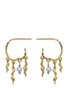 Bayou Earrings Örhänge Smycken Gold Maanesten